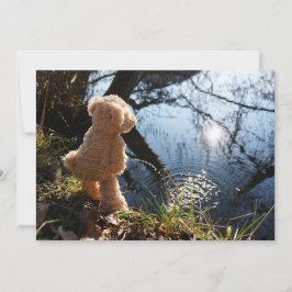 Grappige beer die ondeugend plast. シーズンカード