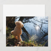 Grappige beer die ondeugend plast. シーズンカード (正面/裏面)