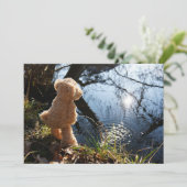 Grappige beer die ondeugend plast. シーズンカード (スタンド正面)