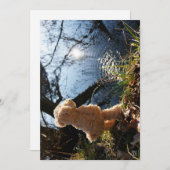 Grappige beer die ondeugend plast. シーズンカード (正面/裏面)