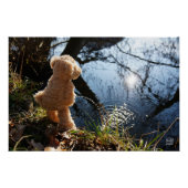 Grappige beer die ondeugend plast. ポスター (正面)