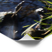 Grappige beer die ondeugend plast. ポスター (コーナー)