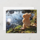 Grappige beer die ondeugend plast. ポストカード (正面/裏面)