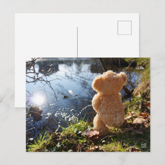 Grappige beer die ondeugend plast. ポストカード (正面/裏面)