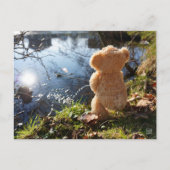 Grappige beer die ondeugend plast. ポストカード (正面)