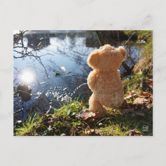 Grappige beer die ondeugend plast. ポストカード (正面)