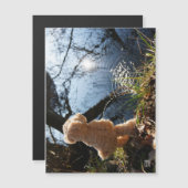 Grappige beer die ondeugend plast. マグネット招待状 (正面/裏面)