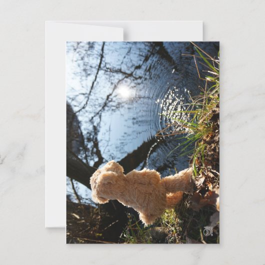 Grappige beer die ondeugend plast. マグネット招待状 (正面)