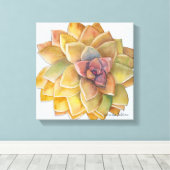 Graptopetalum水彩画デブラリーボールドウィン キャンバスプリント (インサイチュ (ウッドフロア))