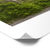 Grasmere Railwayポスター ポスター (角)