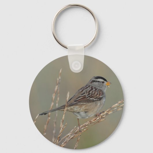 Grass 2 Keychainのスパロウ キーホルダー (正面)