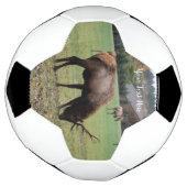 Grass Barnでオスのエルク〔雄ジカの〕枝角が放牧する写真 サッカーボール (回転)