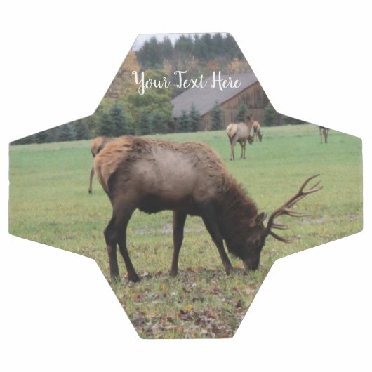 Grass Barnでオスのエルク〔雄ジカの〕枝角が放牧する写真 サッカーボール (フラット)