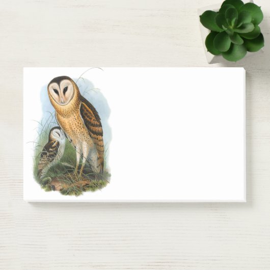 Grass Owl, 10" x 6" Post-it® Notes ポストイット (オフィス)