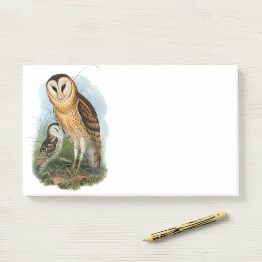 Grass Owl, 10" x 6" Post-it® Notes ポストイット (デスク)