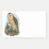 Grass Owl, 10" x 6" Post-it® Notes ポストイット (正面)