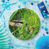 grass.pngの球の大蛇 ペーパープレート (パーティー)