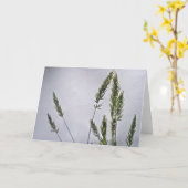 Grass Seedsノートカード カード (黄色い花)