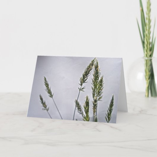 Grass Seedsノートカード カード (正面)