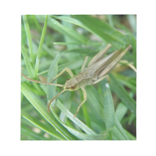 Grasshopperメモ帳 ノートパッド (正面)
