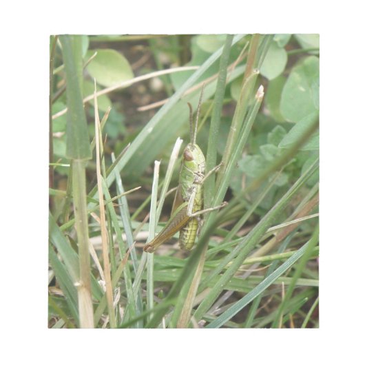 Grasshopper迷彩メモ帳 ノートパッド (正面)