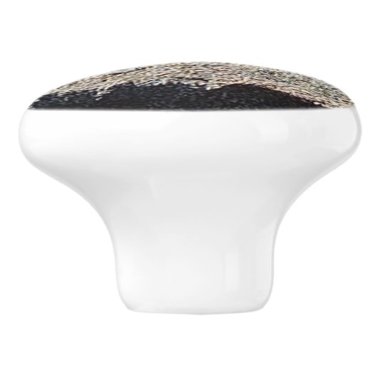 Grasshopper along a grey rock セラミックノブ (側面)