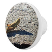 Grasshopper along a grey rock セラミックノブ (右)