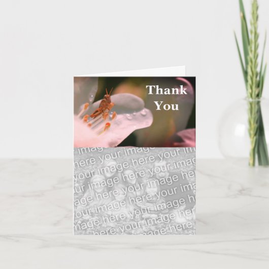 Grasshopper On Azaleaありがとうフォトカード サンキューカード (正面)