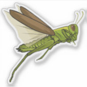 Grasshopper Vector Jumping Illustration シール (正面)