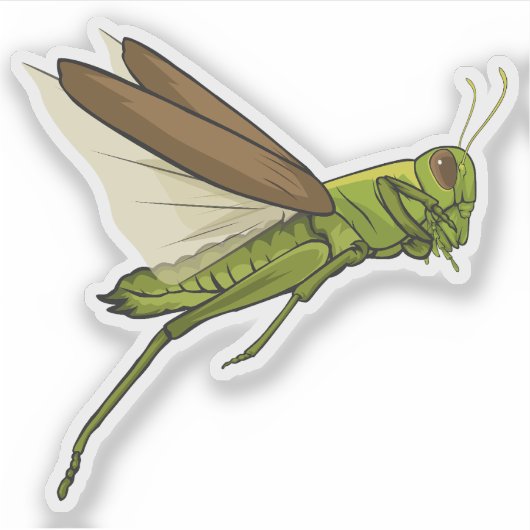 Grasshopper Vector Jumping Illustration シール (正面)