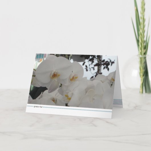 grate*ful カード (正面)