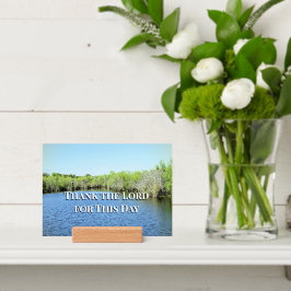 Grateful Reflections