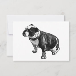 Gratitude Without Noise サンキューカード