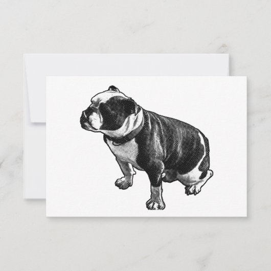 Gratitude Without Noise サンキューカード (正面)