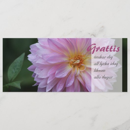 Grattis Onskar dig all lycka idag CC0767 (正面)
