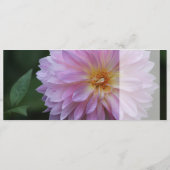 Grattis Onskar dig all lycka idag CC0767 (裏面)