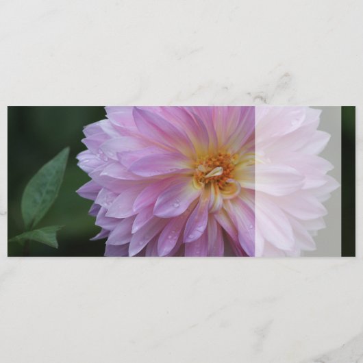 Grattis Onskar dig all lycka idag CC0767 (裏面)