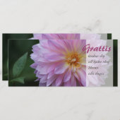 Grattis Onskar dig all lycka idag CC0767 (正面/裏面)