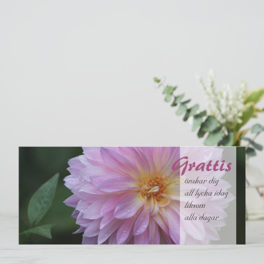 Grattis Onskar dig all lycka idag CC0767 (スタンド正面)