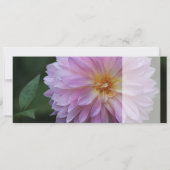 Grattis Onskar dig all lycka idag CC0767 (裏面)