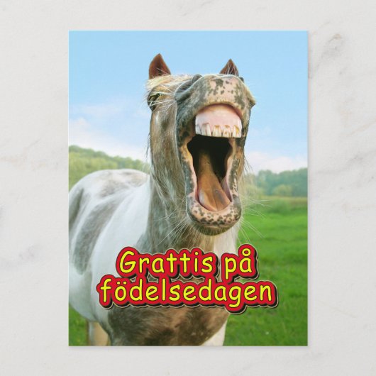 Grattis på födelsedagen ポストカード (正面)