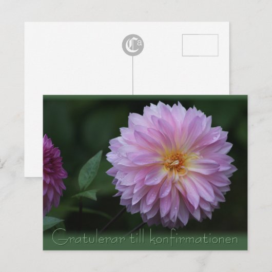 Gratulerar til konfirmationen CC0503はがき ポストカード (正面/裏面)