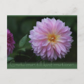 Gratulerar til konfirmationen CC0503はがき ポストカード (正面)