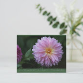 Gratulerar til konfirmationen CC0503はがき ポストカード (スタンド正面)