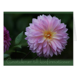 Gratulerar til konfirmationen CC0504 Big