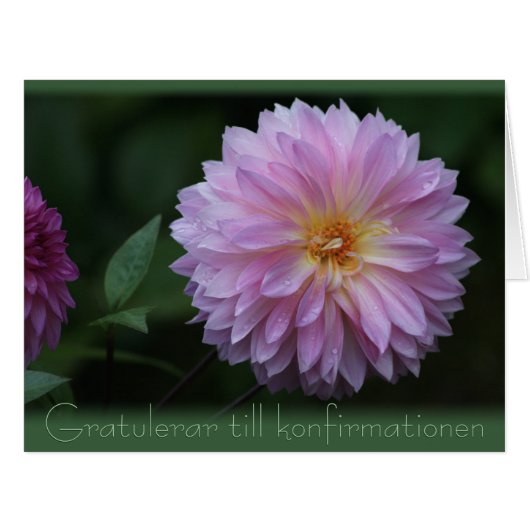 Gratulerar til konfirmationen CC0504 Big (正面横)