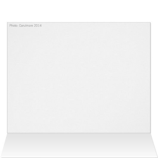 Gratulerar til konfirmationen CC0504 Big (内部横(上))