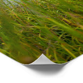 Grave, Smith Cemery州自然Preserve, Ohio ポスター (角)