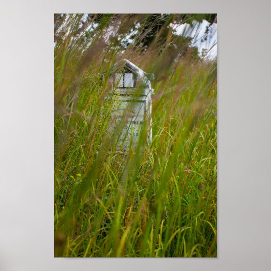 Grave, Smith Cemery州自然Preserve, Ohio ポスター (正面)