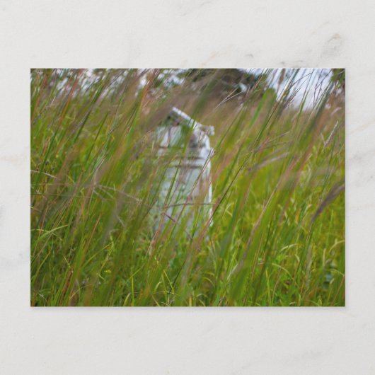 Grave, Smith Cemery州自然Preserve, Ohio ポストカード (正面)